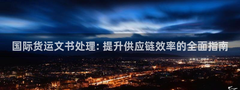 尊龙 6：国际货运文书处理: 提升供应链效率的全面指南