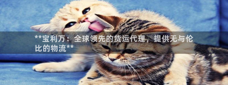 尊龙凯时贴吧：**宝利万：全球领先的货运代理，提供无与伦