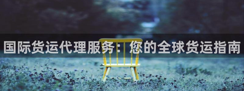 尊龙人生就是博旗舰厅：国际货运代理服务：您的全球货运指南