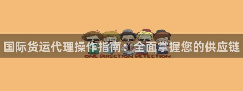 尊龙凯时代理能提出来不：国际货运代理操作指南：全面掌握您
