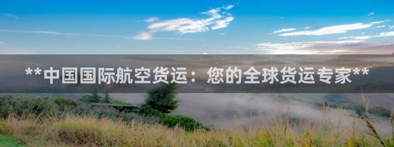 尊龙人生就是博登录首页：**中国国际航空货运：您的全球货