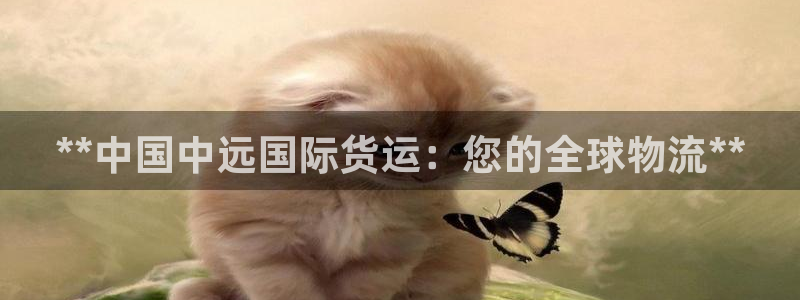 尊龙目前情况：**中国中远国际货运：您的全球物流**