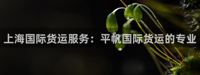 尊龙凯时美金能提取吗：上海国际货运服务：平帆国际货运的专
