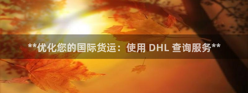 尊龙人生就是博管网：**优化您的国际货运：使用 DHL 