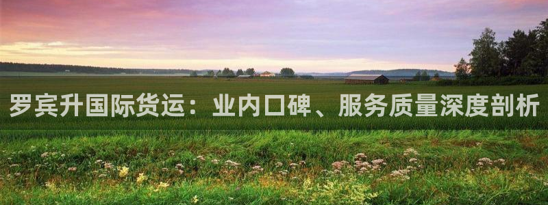 尊龙网站 人生就是博：罗宾升国际货运：业内口碑、服务质量