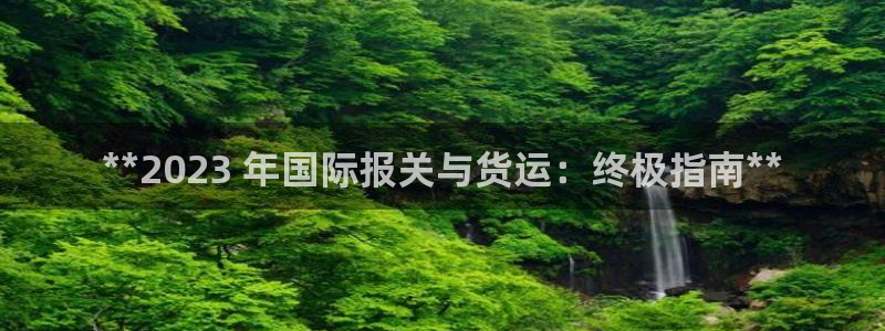 尊龙新版人生就是博!：**2023 年国际报关与货运：终