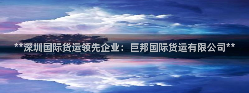 尊龙体育游戏平台：**深圳国际货运领先企业：巨邦国际货运