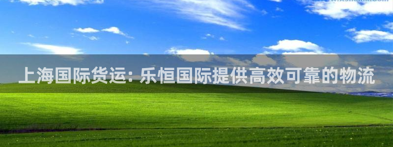 尊龙凯时注册：上海国际货运: 乐恒国际提供高效可靠的物流