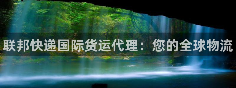 尊龙现金推荐ag发财网：联邦快递国际货运代理：您的全球物