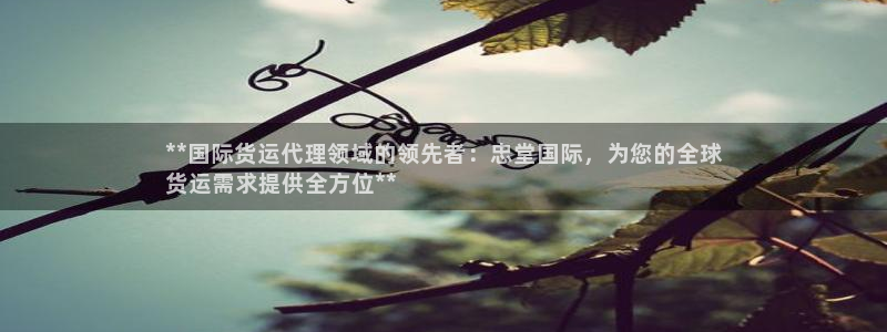 尊龙凯时推荐人：**国际货运代理领域的领先者：忠堂国际，
