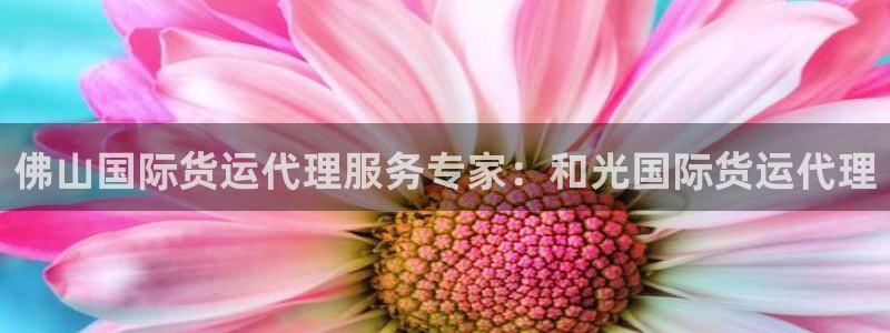 尊龙现金d88：佛山国际货运代理服务专家：和光国际货运代