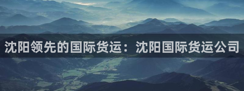 尊龙官方网站是真的吗：沈阳领先的国际货运：沈阳国际货运公