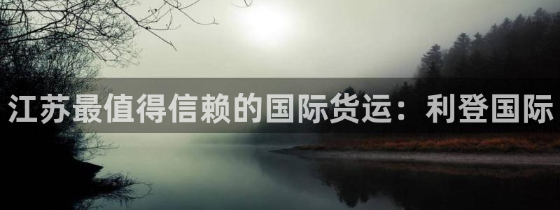 尊龙旗舰app：江苏最值得信赖的国际货运：利登国际