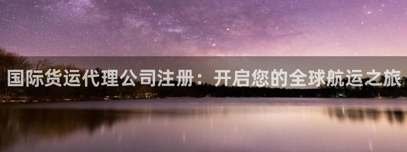 尊龙凯时 - 人生就是搏!提款怎么样：国际货运代理公司注