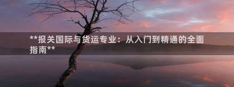 尊龙人生手机版都去ag发财网：**报关国际与货运专业：从