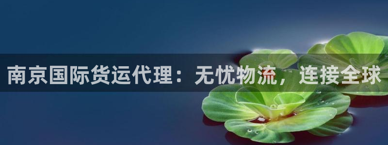 尊龙2020：南京国际货运代理：无忧物流，连接全球