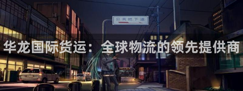 尊龙人生就是博：华龙国际货运：全球物流的领先提供商
