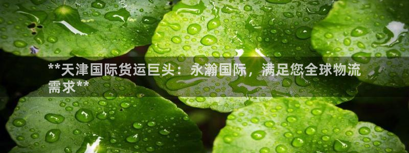 尊龙凯时为什么不封：**天津国际货运巨头：永瀚国际，满足