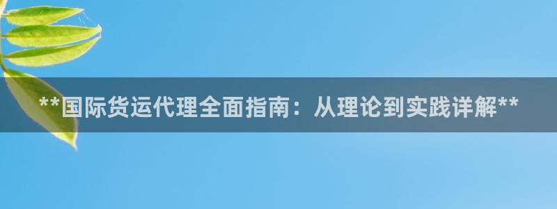 尊龙凯时app官方网站：**国际货运代理全面指南：从理论