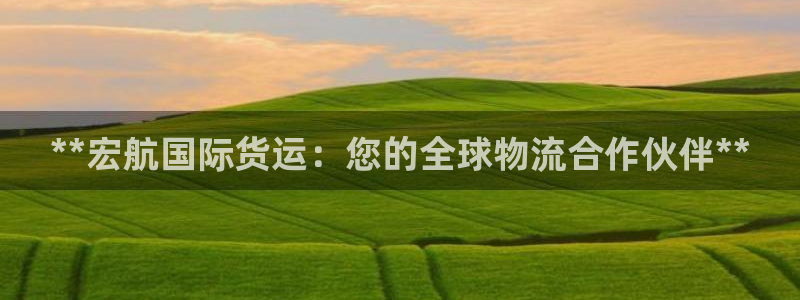 尊龙凯时登陆入口：**宏航国际货运：您的全球物流合作伙伴