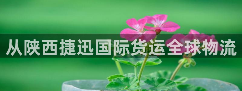 尊龙t600：从陕西捷迅国际货运全球物流