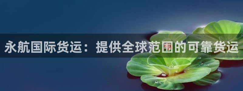尊龙凯时网站是什么地方人开的：永航国际货运：提供全球范围
