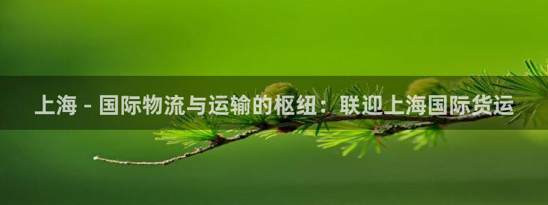 尊龙人生就是博送38：上海 - 国际物流与运输的枢纽：联