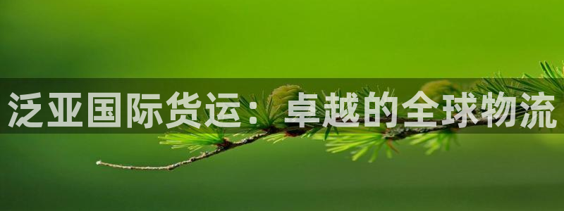 尊龙凯时注册地址：泛亚国际货运：卓越的全球物流