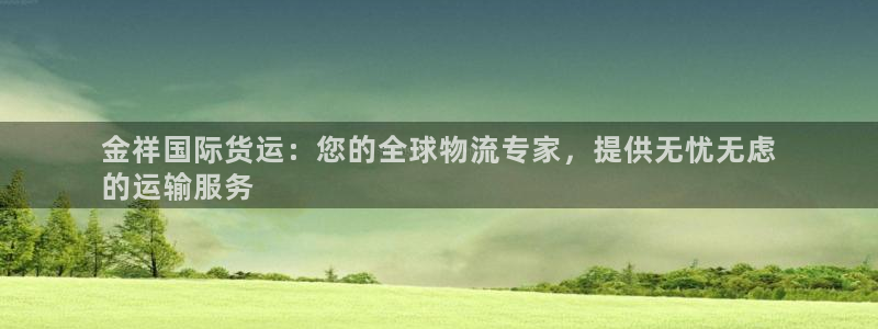 尊龙官网在哪里：金祥国际货运：您的全球物流专家，提供无忧