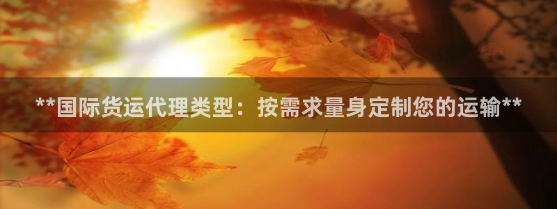 尊龙凯时口碑好吗：**国际货运代理类型：按需求量身定制您