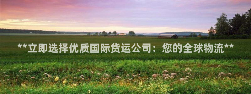尊龙公司：**立即选择优质国际货运公司：您的全球物流**