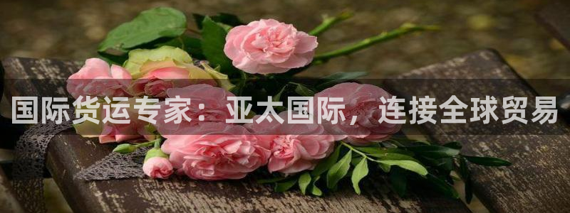 尊龙凯时平台信誉怎样：国际货运专家：亚太国际，连接全球贸