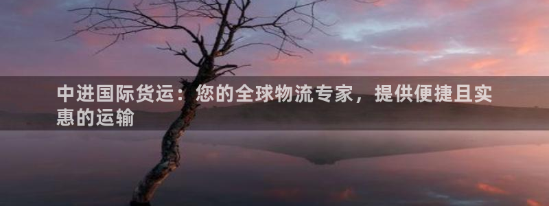 尊龙凯时登陆网址：中进国际货运：您的全球物流专家，提供便