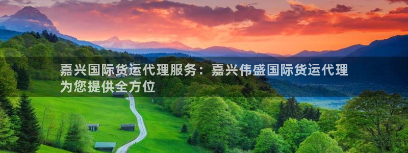 尊龙游戏中心：嘉兴国际货运代理服务：嘉兴伟盛国际货运代理