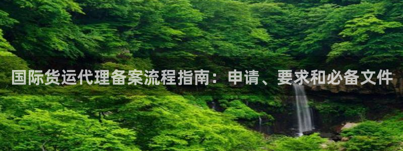 尊龙凯时集团：国际货运代理备案流程指南：申请、要求和必备