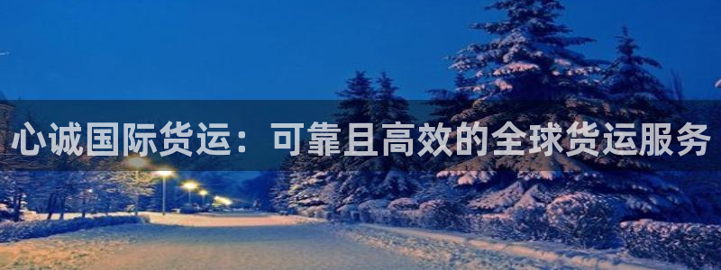 尊龙t200：心诚国际货运：可靠且高效的全球货运服务