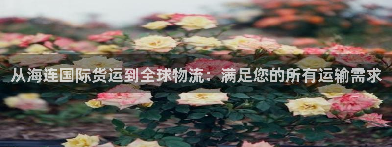 尊龙人生就是-首页：从海连国际货运到全球物流：满足您的所