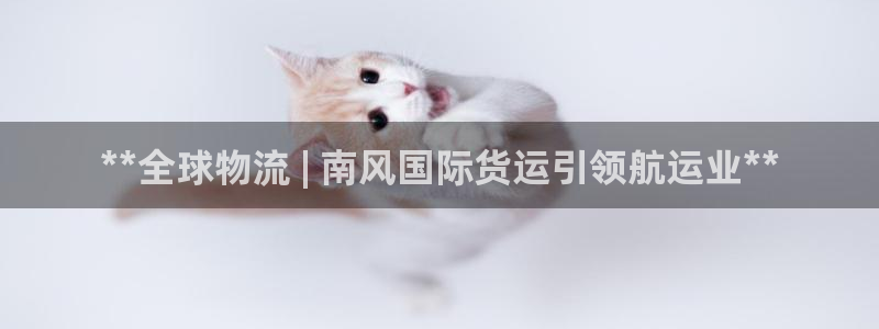 尊龙专访：**全球物流 | 南风国际货运引领航运业**