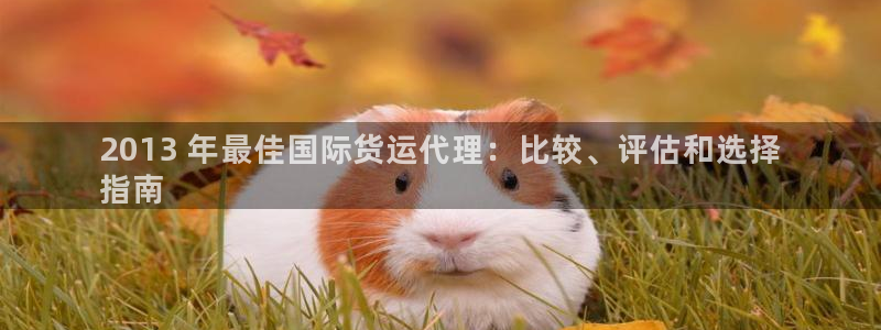 尊龙凯时 - 人生就是搏!：2013 年最佳国际货运代理