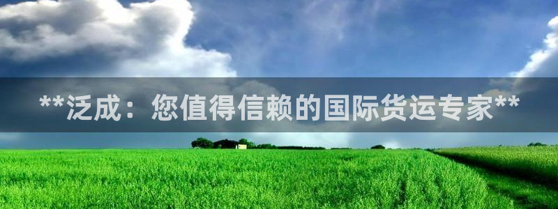 尊龙凯时官网正规吗：**泛成：您值得信赖的国际货运专家*