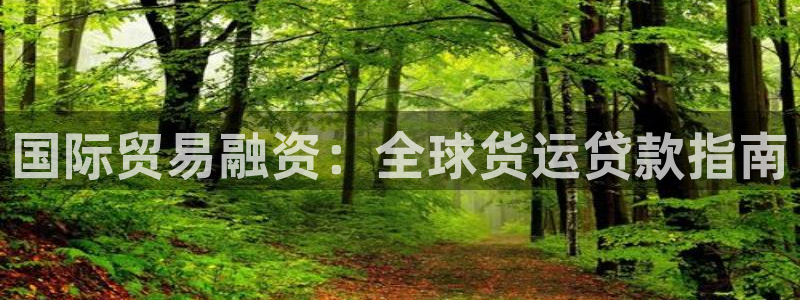 尊龙凯时ag旗舰厅登陆：国际贸易融资：全球货运贷款指南