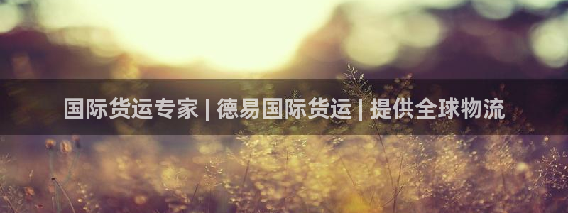 尊龙凯时可以提现吗：国际货运专家 | 德易国际货运 | 