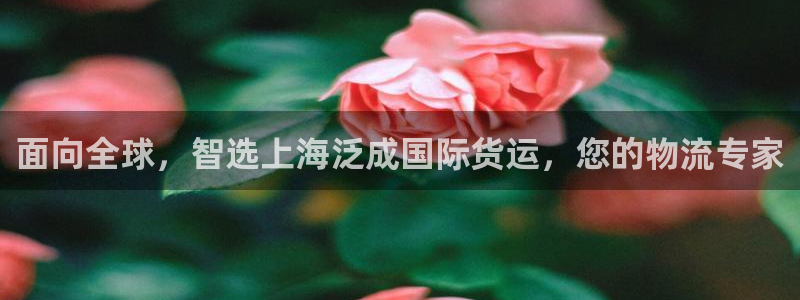 尊龙官网登录·(中国)官方网站-bd SPORTS：面向