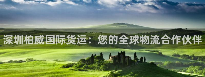 尊龙官网APP下载：深圳柏威国际货运：您的全球物流合作伙