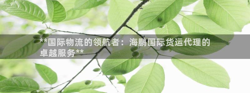 尊龙凯时官方下载：**国际物流的领航者：海鹏国际货运代理