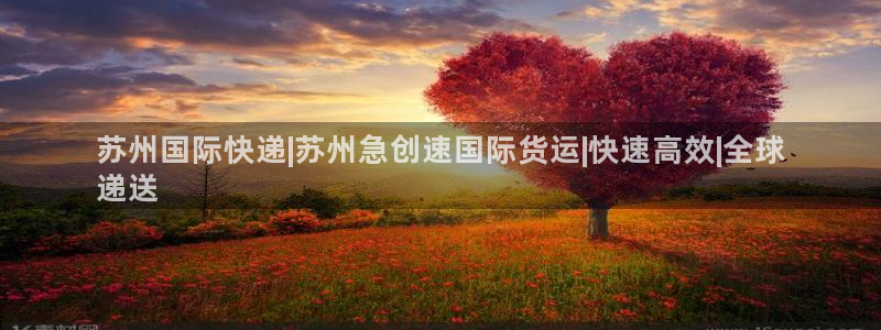 尊龙d88皆选ag发财网：苏州国际快递|苏州急创速国际货