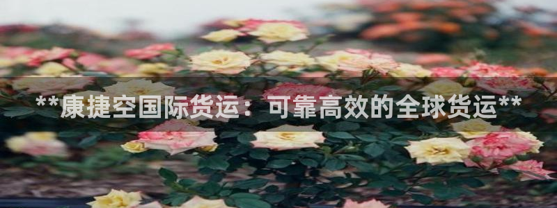 尊龙凯时官网版登录：**康捷空国际货运：可靠高效的全球货