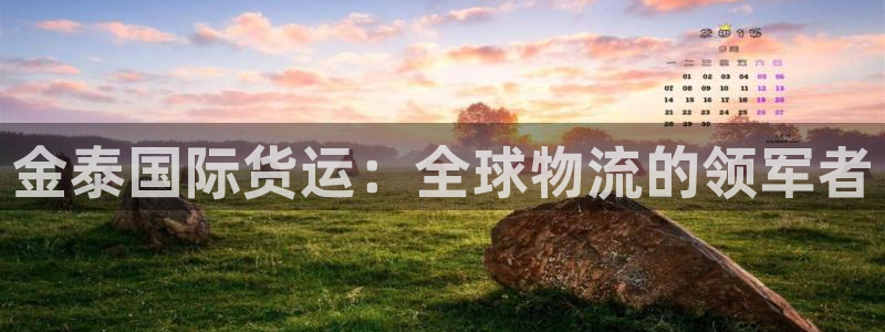 尊龙凯时人生就是博官网登录：金泰国际货运：全球物流的领军