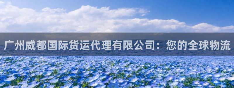 尊龙凯时不给提现怎么办：广州威都国际货运代理有限公司：您