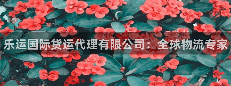 尊龙客服：乐运国际货运代理有限公司：全球物流专家